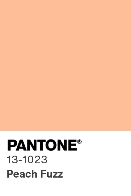 Colour of the Year 2024